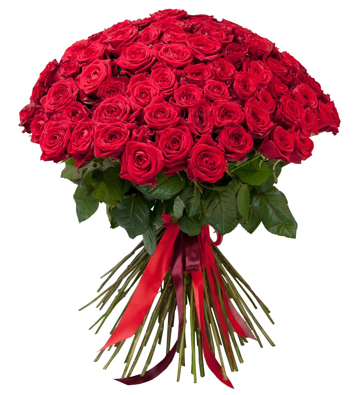 101 красная роза Эквадор