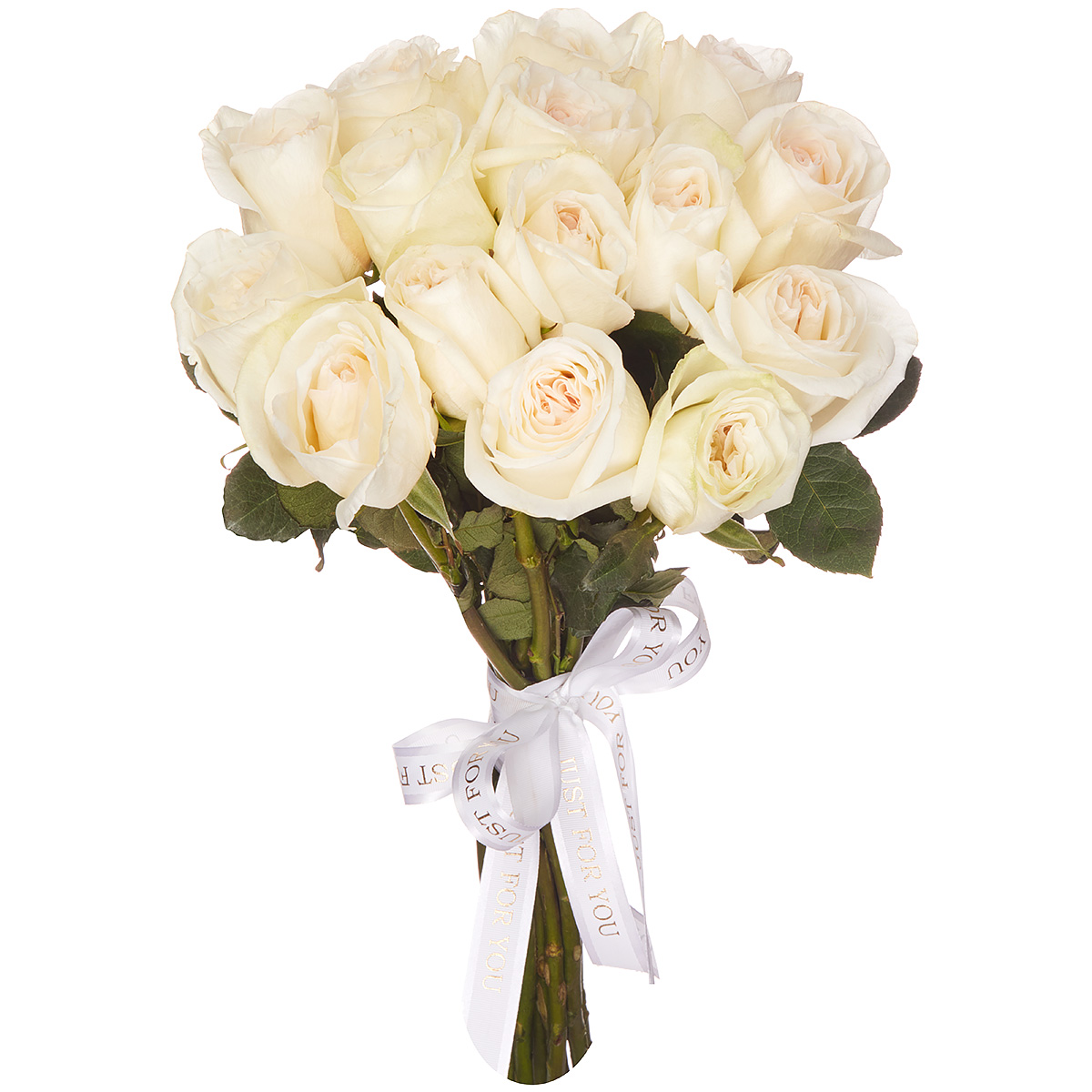 15 пионовидных белых роз Эквадор