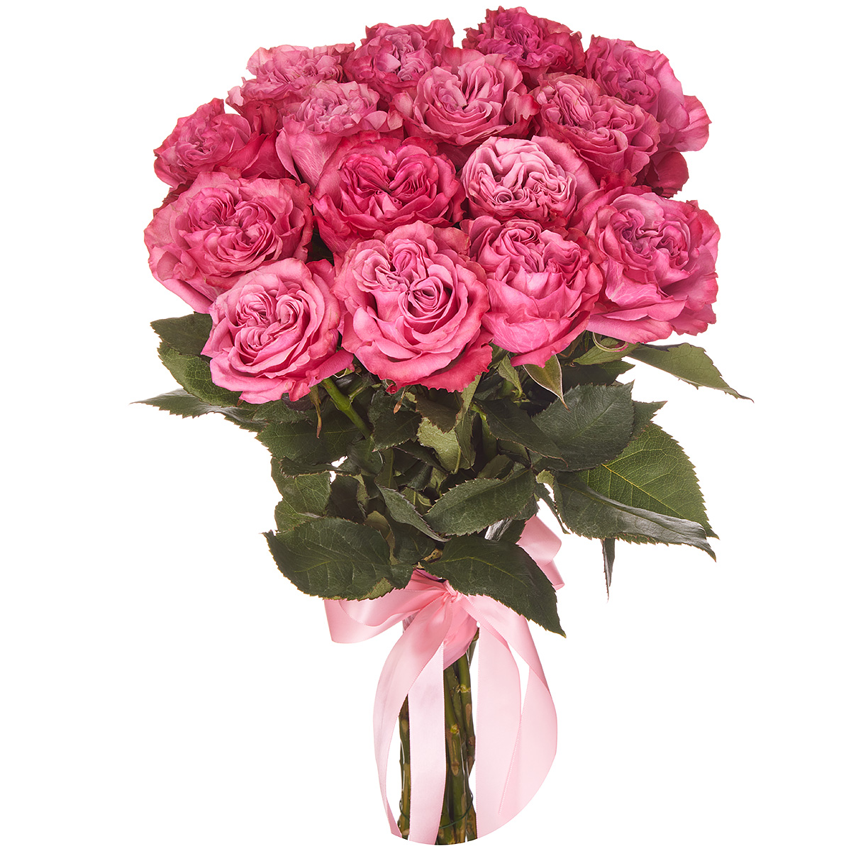 15 пионовидных розовых роз Эквадор